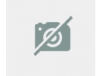 Enkiantus-czerwony-logo