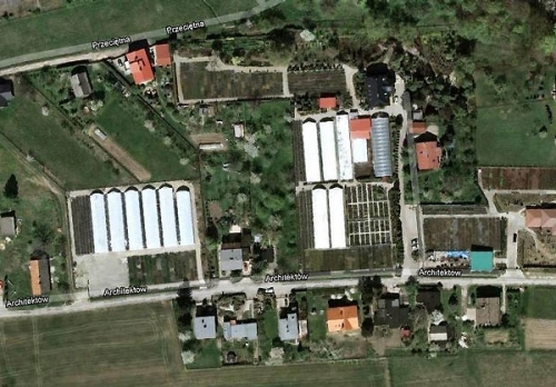 Centralna część szkółki