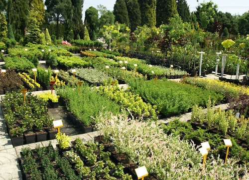 Punkt sprzedaży detalicznej i hurtowej